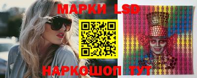 индика Можга
