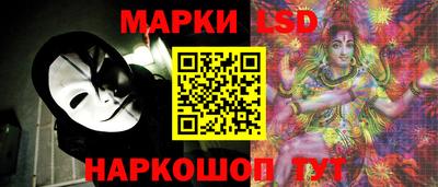 индика Можга