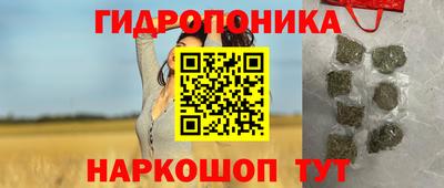 индика Можга