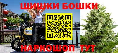 индика Можга