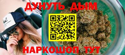 индика Можга