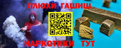 индика Можга