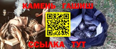 индика Можга