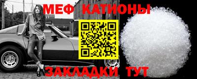 индика Можга