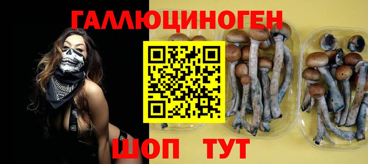 Псилоцибиновые грибы GOLDEN TEACHER Дзержинск